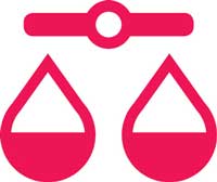 LAW ICON